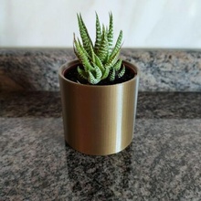 base mini cactus pot planteur vase plante succulent libre Accueil maison Ikea minicactus décoration décor cylindre or Bureau élégant facile 3d print model - Mito3D