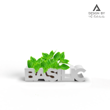 basil pot home plant banzai flower garden office deco 3d print model - Mito3D