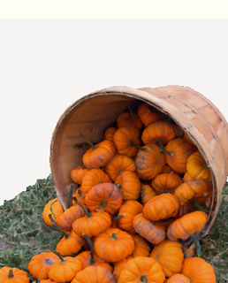 basket pumpkins halloween pumpkin tricks treats 3d print model - Mito3D