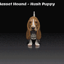basset hound - hush puppy dog breed 3d print model -3d animal pet 3d print model - Mito3D