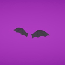 bat wing fashion