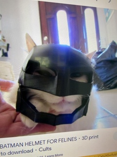 batcat batman cat helmet 3d printing 3d print model - Mito3D