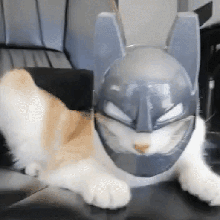 batman gato mask 3d print model - Mito3D