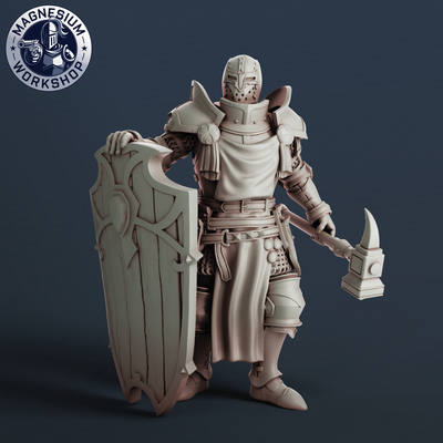 savaş hazır paladin şövalye of kutsal sipariş oyun yazı tahtası oyunlar rpg minyatürler dnd patika fantezi oyunları karakterler sınıflar savaşçılar role playing d 3d print model - Mito3D