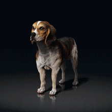beagle - stl & vrml color format - hush puppy - dog breed - sitting pose - 3d print model beagle hound - vrml 3d print model animal pet dog breed basset