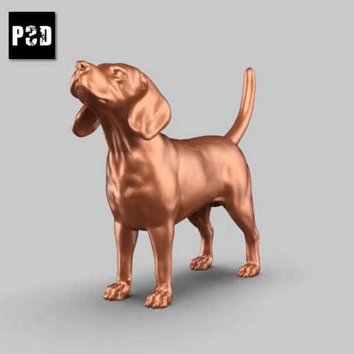 beagle pose 01 arte cão animal brinquedo estatuetas 3D print model - Mito3D