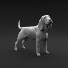 beagle in piedi femmina maschio arte cane animale mammifero canino domestico miniatura figura scultura miniature figurine segugio 3d print model - Mito3D