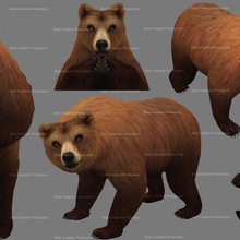 bear animation 3d print model - Mito3D