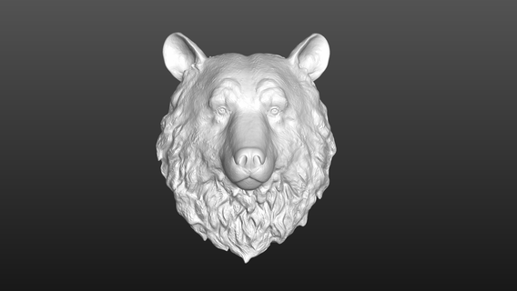 oso cabeza 3d print model - Mito3D
