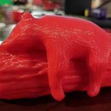 bear sleeping various 3d print model - Mito3D