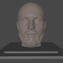 l'uomo con la barba testa art uomo faccia calvo scolpire i baffi 3d print model - Mito3D