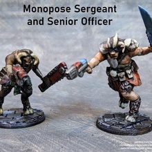 uomini bestia spazio monopose anziano ufficiale sergente gioco guardia imperiale mini modello kit 28mm 40k opr cupo 3d print model - Mito3D