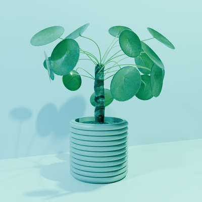 wunderschönen pflanzer ringe dekor zuhause haus tabelle kunst geometrie geometrisch simpe minimalistisch einfach 3d print model - Mito3D