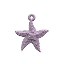 beautiful sea star jewelry pendants starfish medallion ocean great jewel jewellery printable steel metallic metal sterling platinum silver gold pendant 3d print model - Mito3D