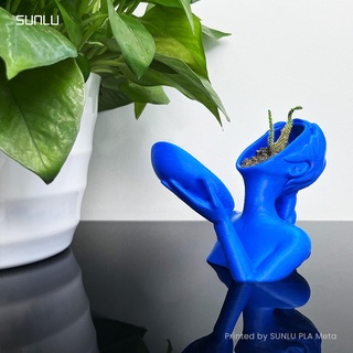 beauty flowerpot design sunlu plantersxcults 3d print model - Mito3D