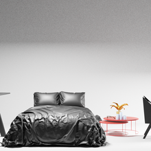 dormitorio arquitectura estante plantas cama lentes moderno silla pc mesa 3d print model - Mito3D