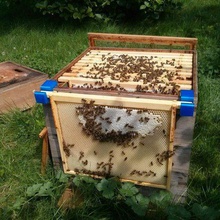 colmeia de abelhas quadro ganchos a casa exterior do jardim as apicultura 3d print model - Mito3D