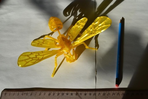 bee puzzle bee puzzle nsfw puzzles  3d print model - Mito3D