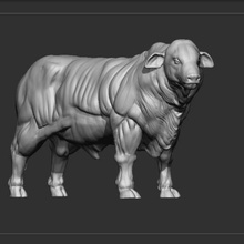 maître boeuf animal vache taureau ferme 3d print model - Mito3D