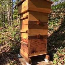 alveare ant fossato casa giardino all'aperto gambe gli insetti il miele le api l'apicoltura formiche 3d print model - Mito3D