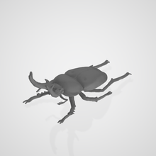 escarabajo género lucano ciervo familia 3d print model - Mito3D