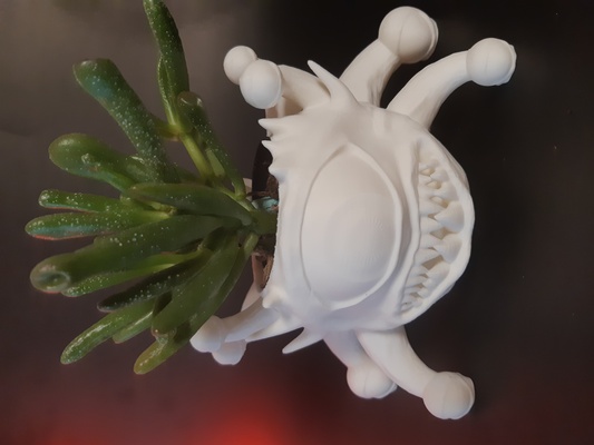 beholder planter succulents - support free home dungeons dragons dnd pot container gardening succulent plant rpg ttrpg tabletop monster mini miniature fantasy sci-fi 5e 3d print model - Mito3D