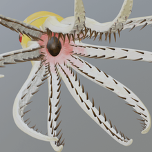 belemnoidea varios belemenite calamar tentáculos fósiles animale 3d print model - Mito3D