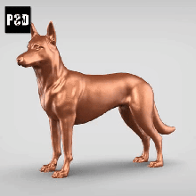 belgian malinois v1 art dog animal toy pet figurines 3d print model - Mito3D
