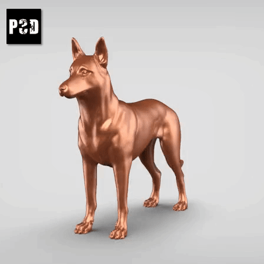 Belge malinois v3 art chien animal jouet compagnie figurines 3D print model - Mito3D