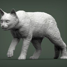 Bengala gatto 3d Stampa modello animale mammifero selvaggio domestico gattino natura scultura statuetta souvenir presente arte sculture 3d print model - Mito3D