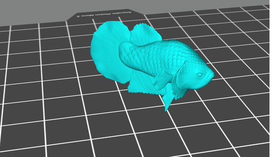 betta pesce bettafish guppy 3d print model - Mito3D
