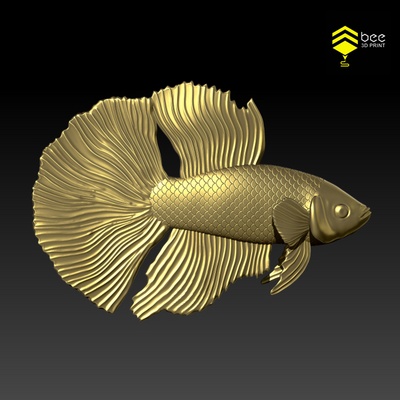 betta pesce pronto 3d stampa pedanti arte acquario acqua fiume mare animali animale giocattolo alto poli 3d print model - Mito3D