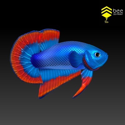 betta poisson 2 prêt 3d impression aqua aquarium rivière art jouet mer 3dprint animal animaux sculptures 3d print model - Mito3D