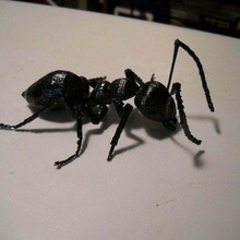 gros cul fourmi créatures 3d print model - Mito3D