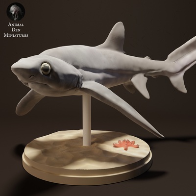 grande occhio trebbiatrice squalo animale compagno pesce oceano acqua selvaggio fauna selvatica creatura realistico scultura figurina figura miniatura 3d print model - Mito3D