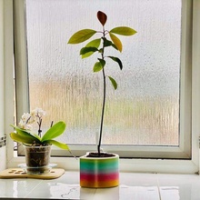 grande cuore forma self watering pentola fiori giardino casa ufficio pianta bonsai San Valentino serra avokado 3d print model - Mito3D
