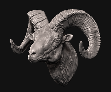gros klaxon mouton animal mouflon 39 Amérique tête buste faune RAM cornes mammifère 3dprinting 3d print model - Mito3D