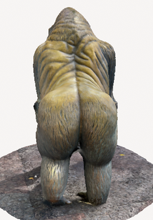big monkey dirty butt - great ape Various great monkey ape zoo  3d print model - Mito3D