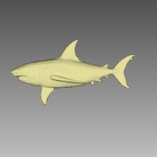tiburón de gran tamaño art 3d print model - Mito3D