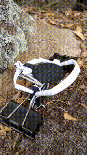 raccoglitore clip modello orso trappola ratto fisica scienza invenzione gadget minimo funzionale Stampa topo roditore gamba tenere 3d print model - Mito3D