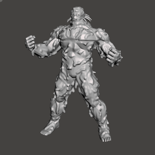 project model broly 3D Print Details