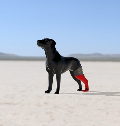 biomechanical prosthesis dog rear left leg - protesis vet veterinarian medical device pet prototype flexible robot multicolor ender 3d print model - Mito3D