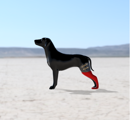 biomecánica prótesis perro posterior izquierda pierna protesis veterinario médico dispositivo mascota prototipo flexible robot multicolor ender 3d print model - Mito3D