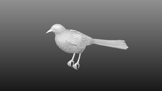 oiseau 3d print model - Mito3D