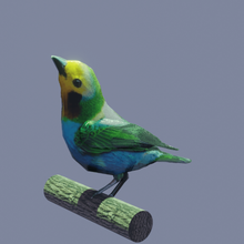 Vogel Kunst Tier low polly natürlich beutufull wild 3d print model - Mito3D