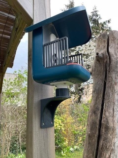 uccello compagno parete montare birdwatch birdhouse all'aperto giardino 3d print model - Mito3D