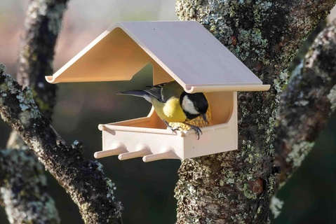 uccello alimentatore Grasso palla titolare supporto mangiatoia per uccelli birdhouse esterno fatball giardino seme natura all'aperto semi animali Casa 3d print model - Mito3D