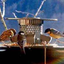 mangeoire à oiseaux prusament de la bobine jeu d'oiseaux le chargeur support animaux 3d print model - Mito3D