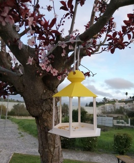oiseau maison nichoir printemps animal libre 3d print model - Mito3D