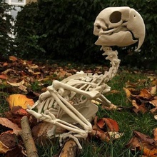 pássaro de arara esqueleto a arte ossos crânio 3d print model - Mito3D